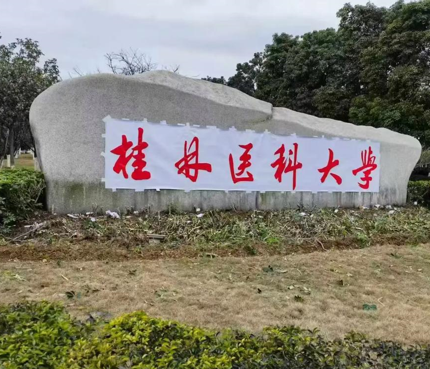 桂林医科大学2025年6月学业英语培