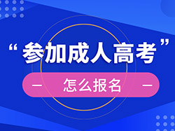 2023年高等学历继续教育招生专业目